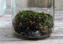 Lay moss over wet foam