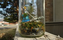 Arrange objects in jar