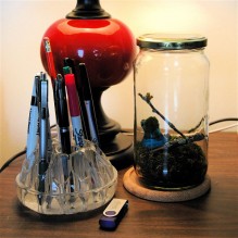 Completed Desktop Terrarium